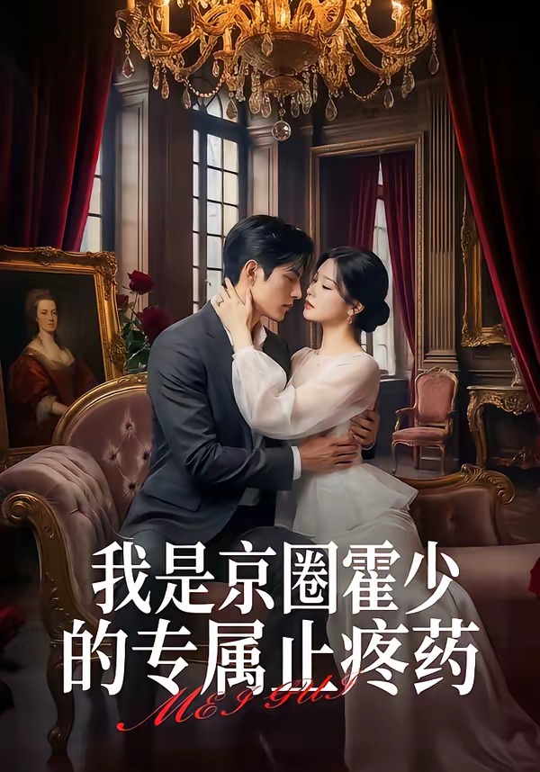 我是京圈霍少的专属止疼药海报