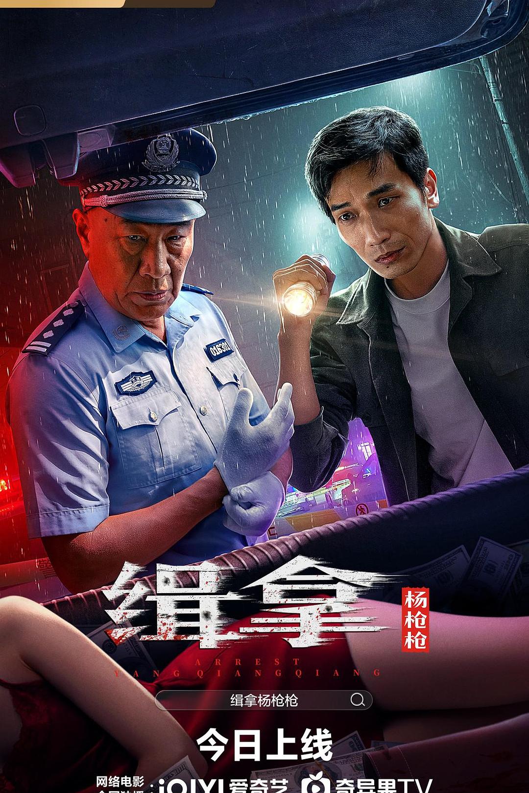 缉拿杨枪枪海报