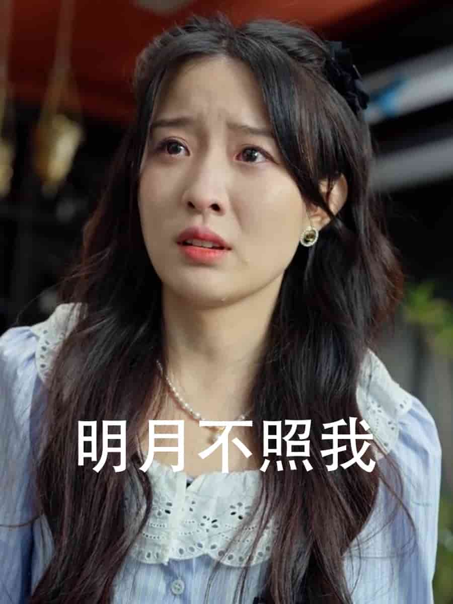 明月不照我海报