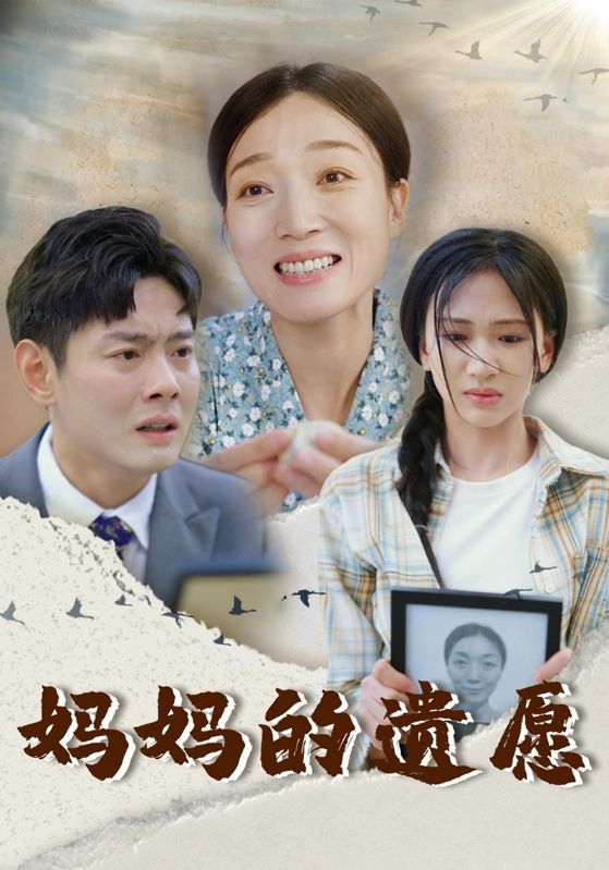 妈妈的遗愿海报
