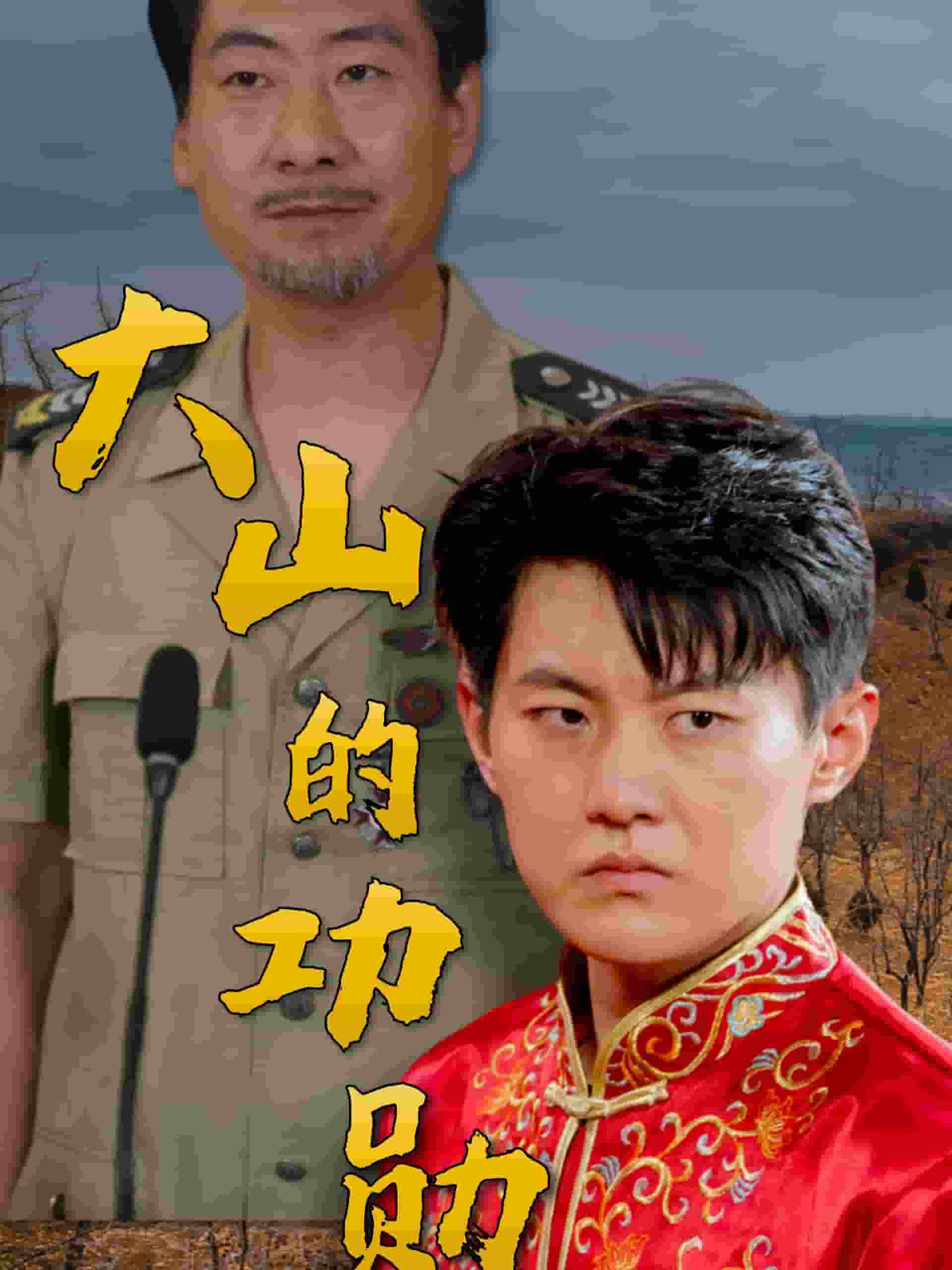 大山的功勋海报