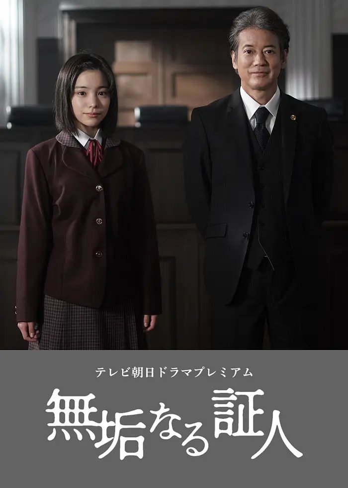 无垢的证人海报
