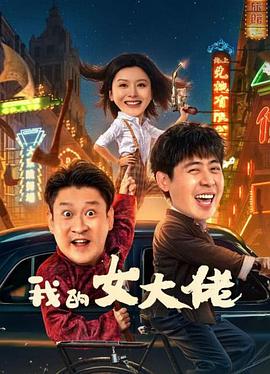 我的女大佬海报