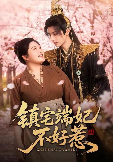 镇宅端妃不好惹海报