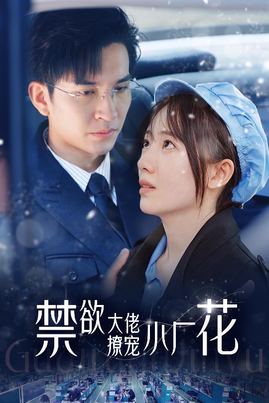 禁欲大佬撩宠小厂花海报
