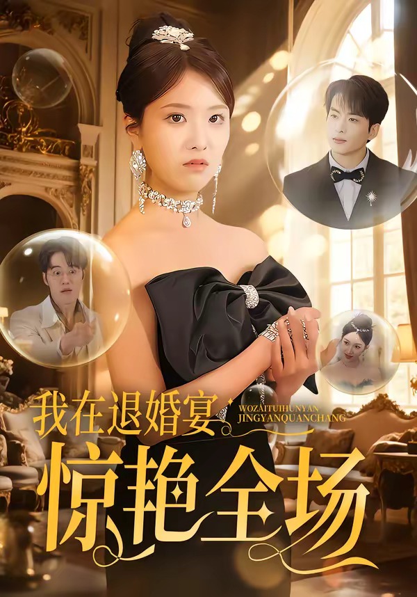 我.在退婚宴惊艳全场海报