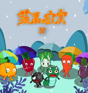 蔬菜不寂寞第37季海报
