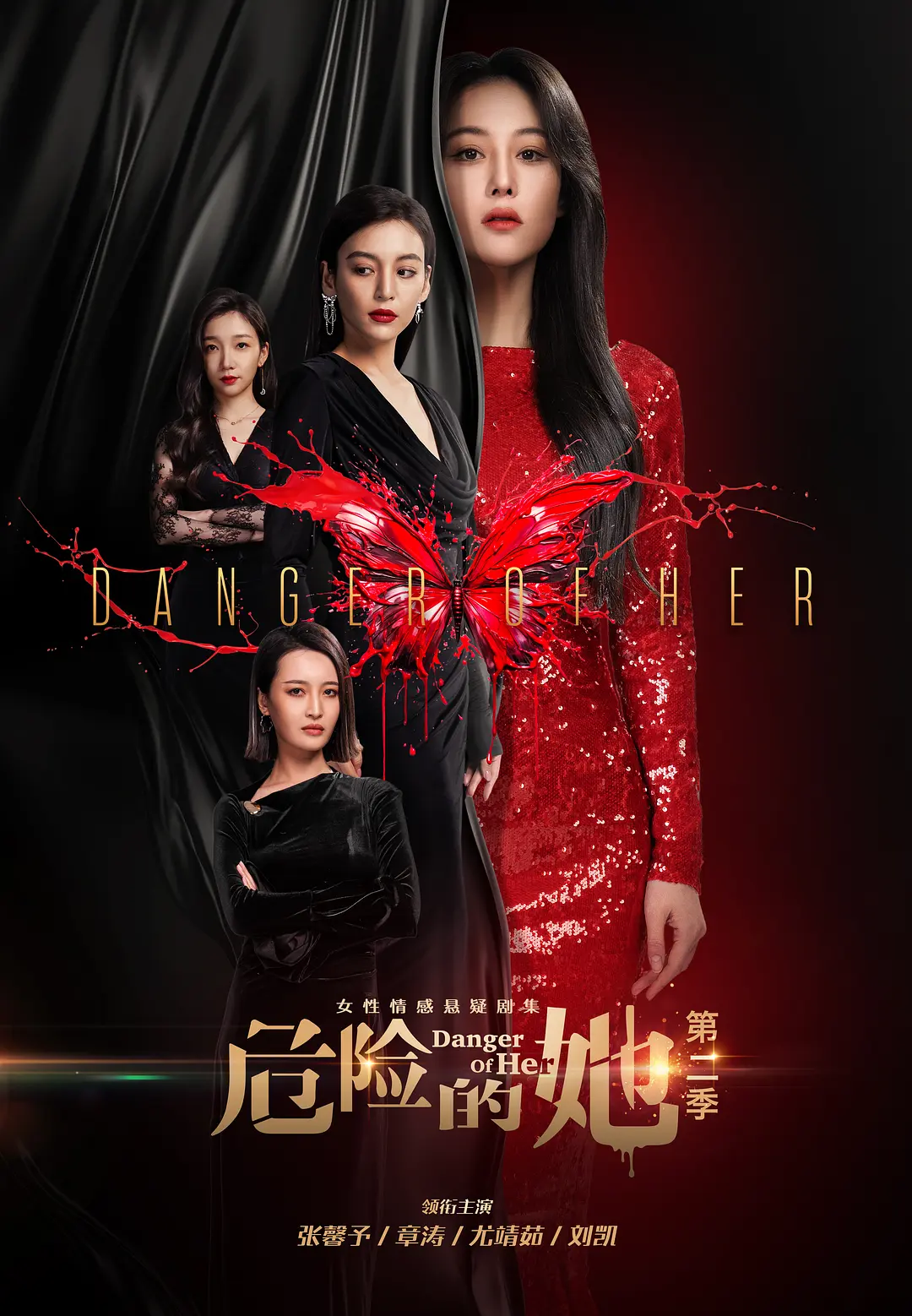 危险的她第二季海报