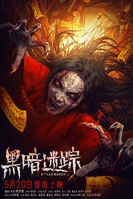 黑暗迷踪海报