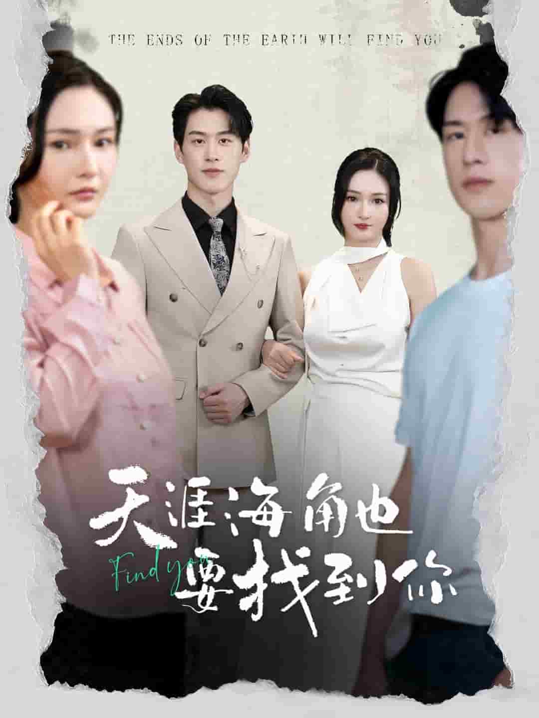 天涯海角也要找到你海报