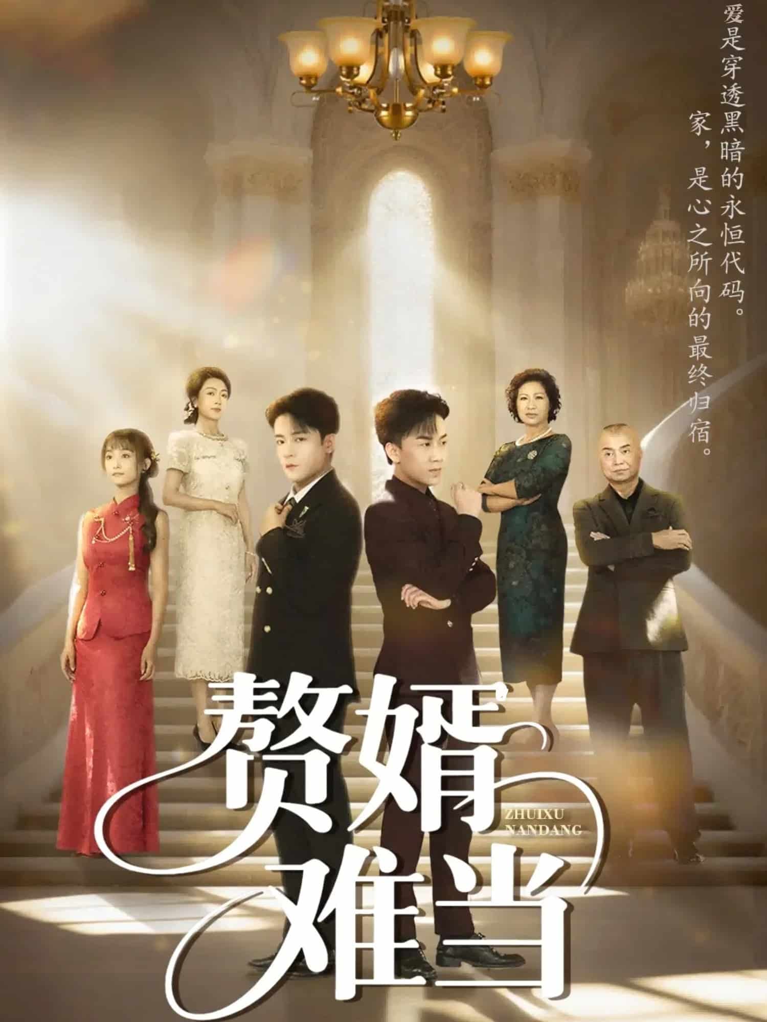 婿业难当海报