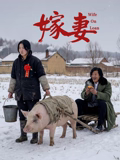 嫁妻海报