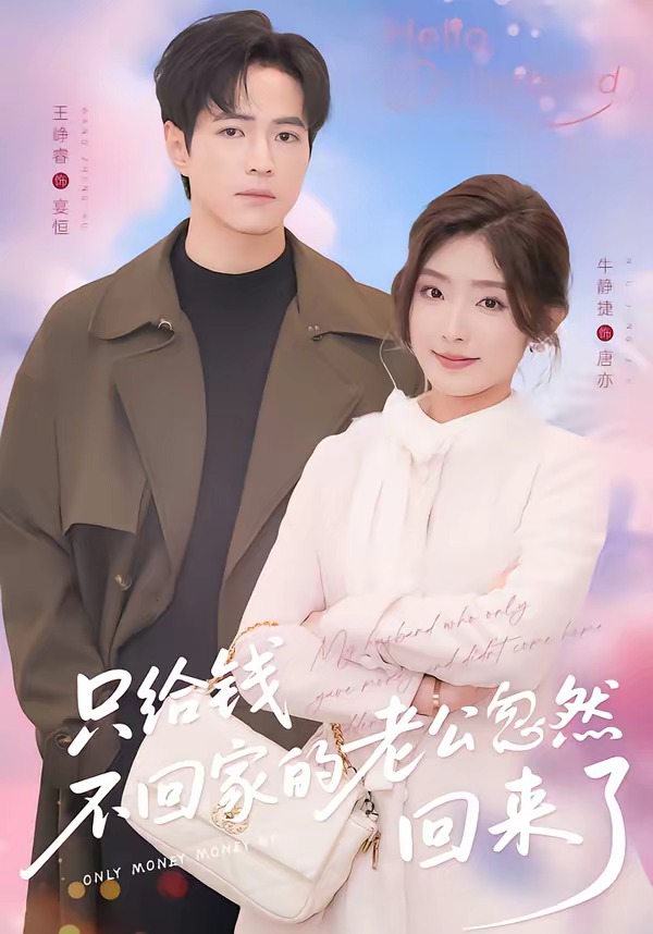 只给钱不回家的老公忽然回来了海报