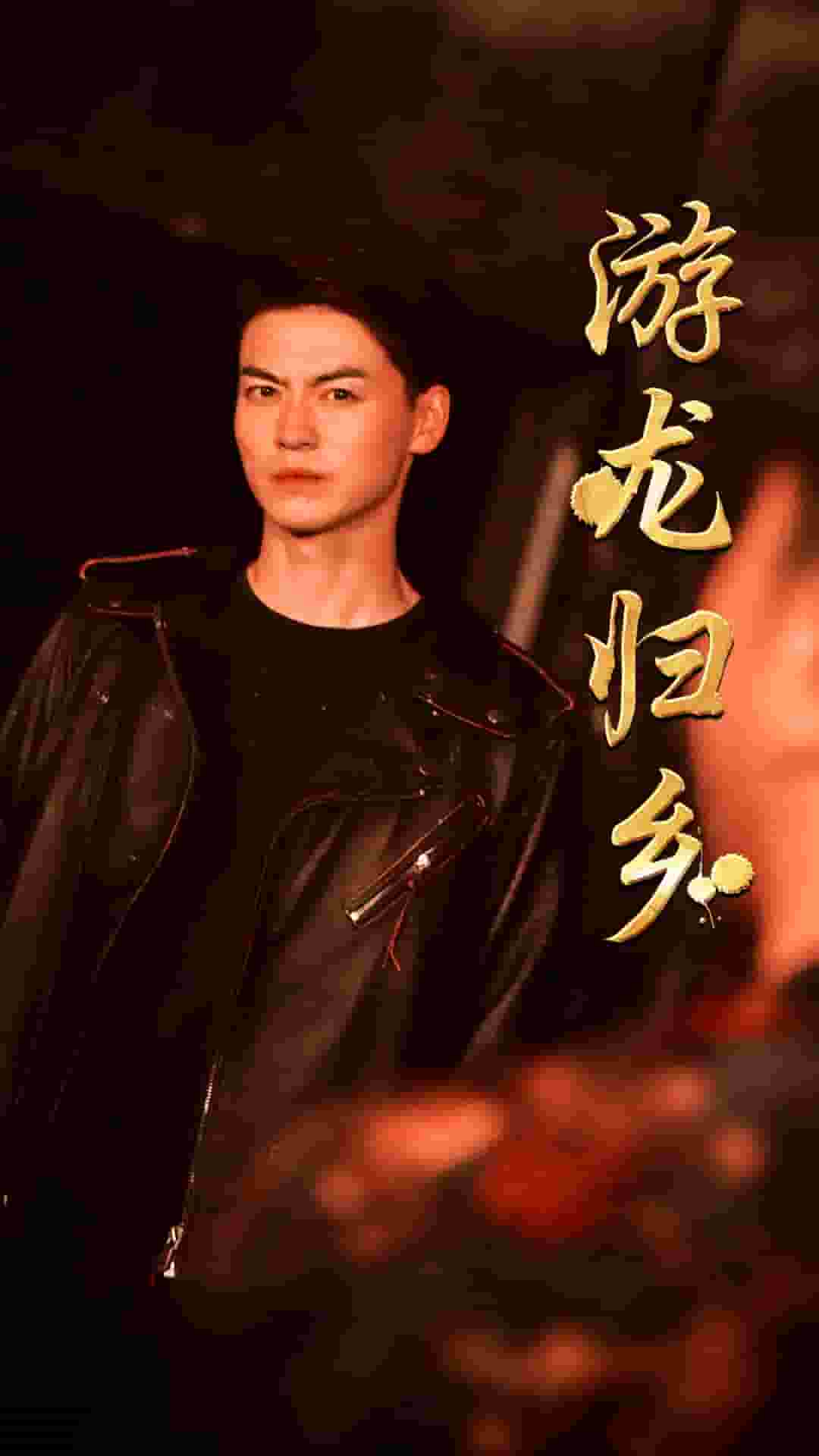 游龙归乡海报