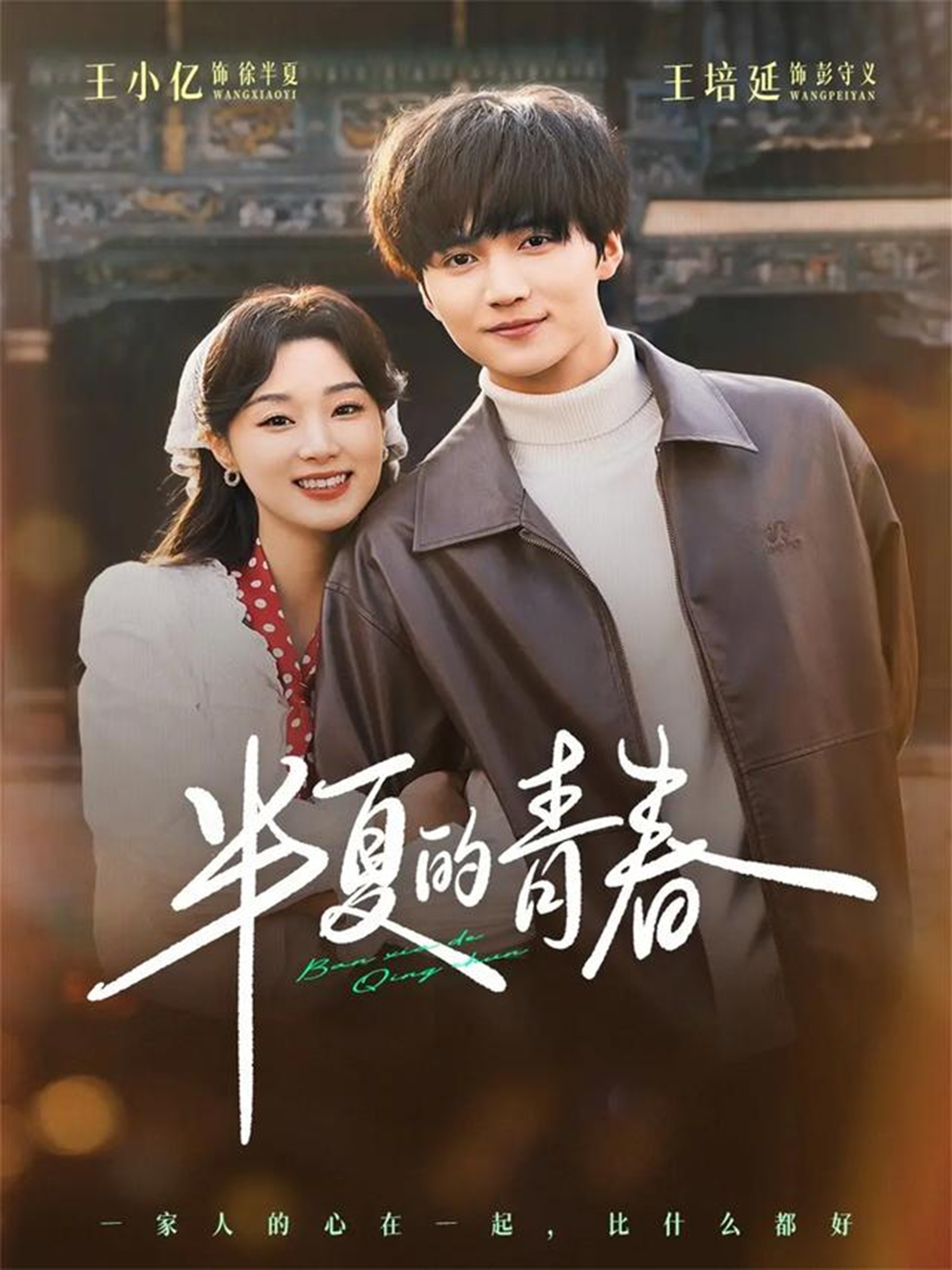 半夏的青春海报