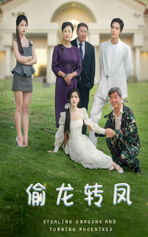 偷龙转凤短剧海报