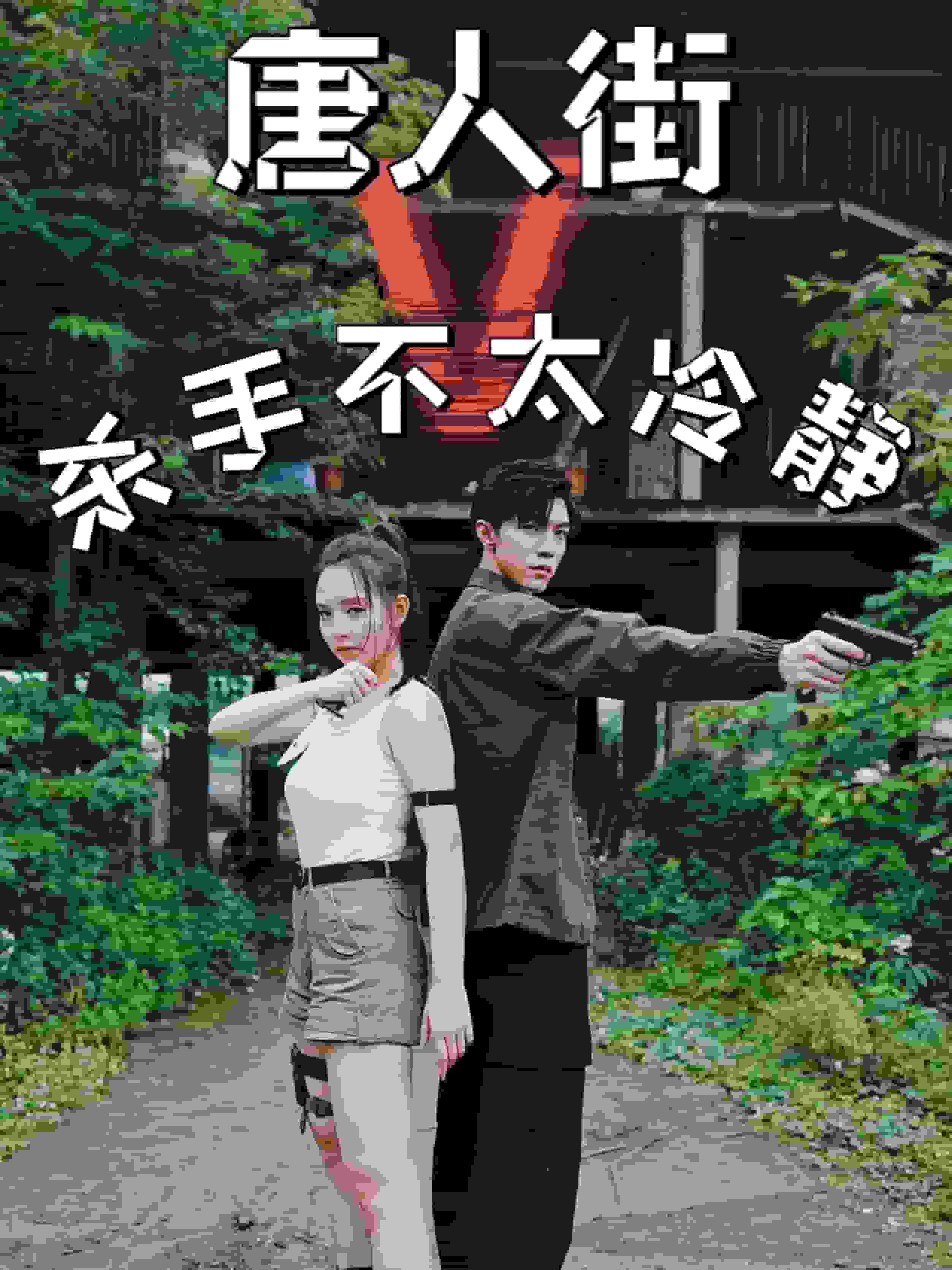 唐人街杀手不太冷静海报