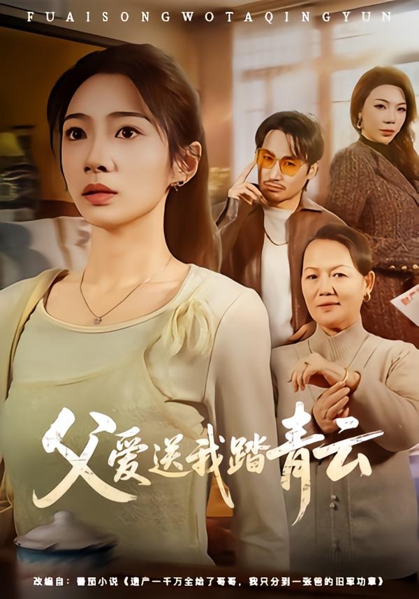 父爱送我踏青云海报