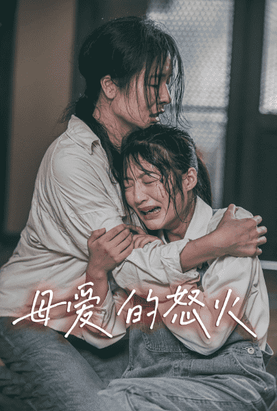 母爱的怒火海报