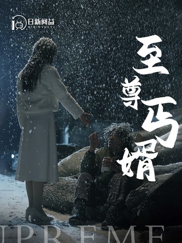 至尊丐婿海报