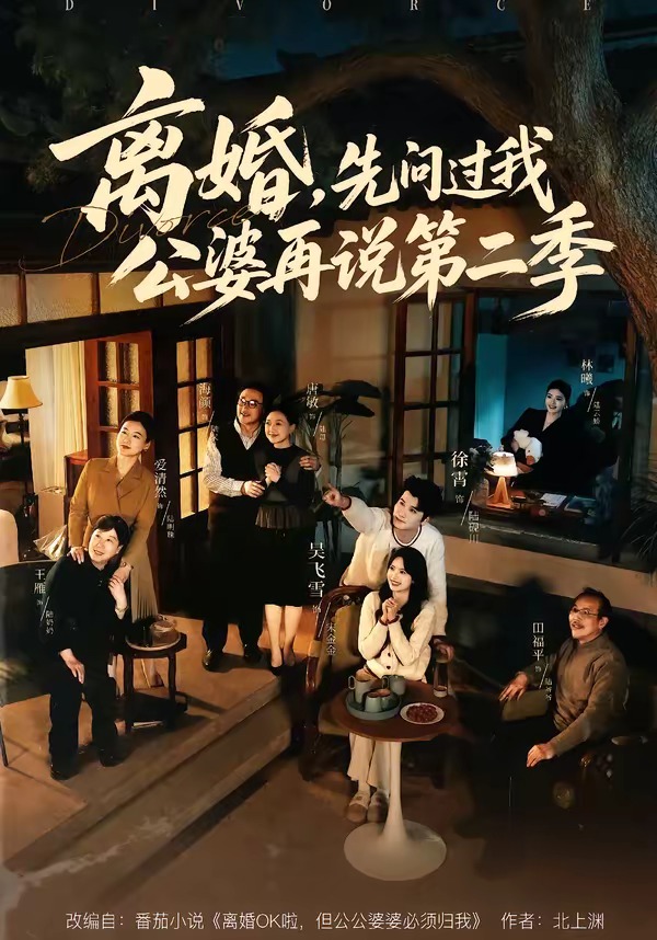 离婚，先问过我公婆再说第二季海报
