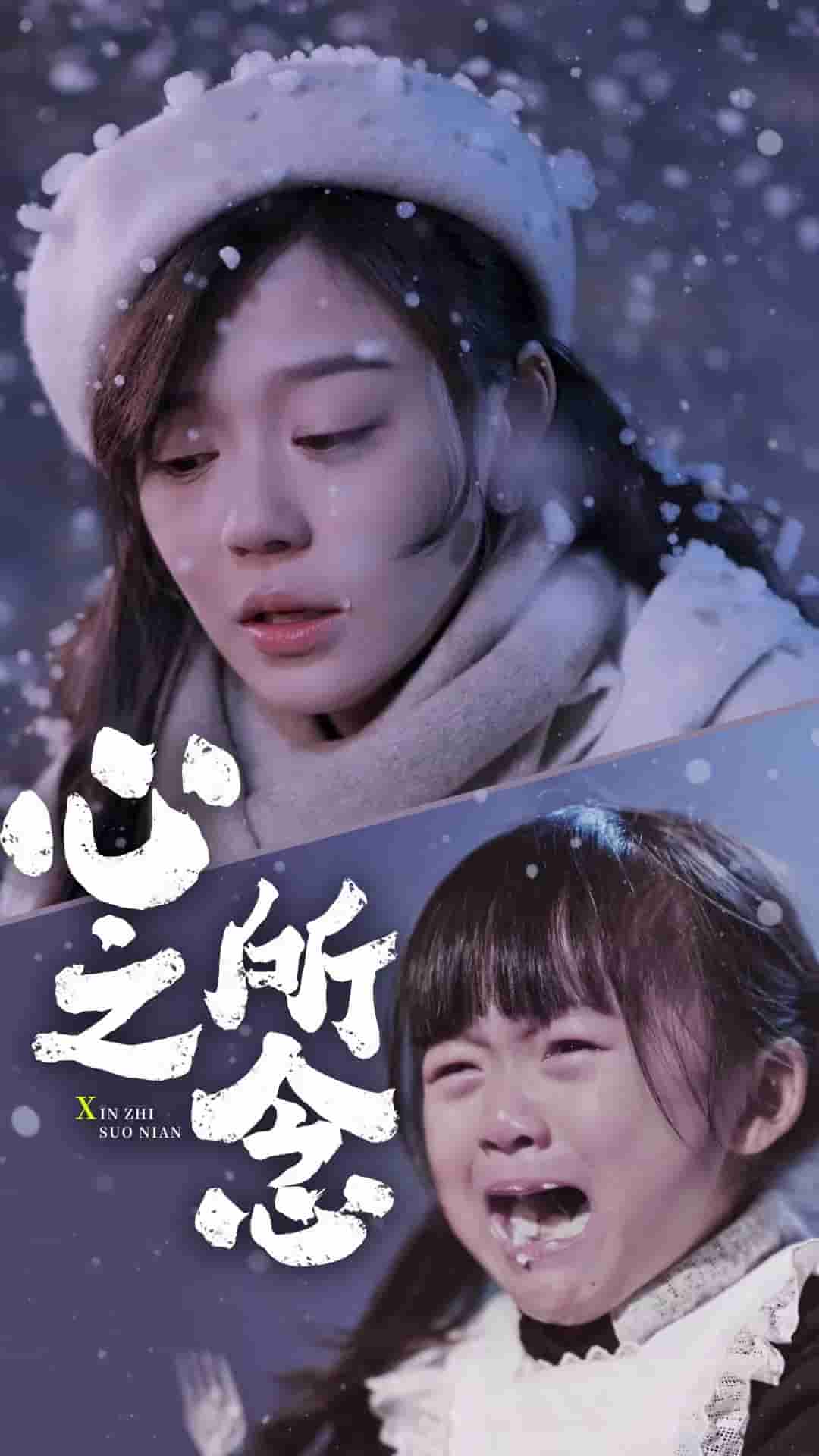 心之所念海报