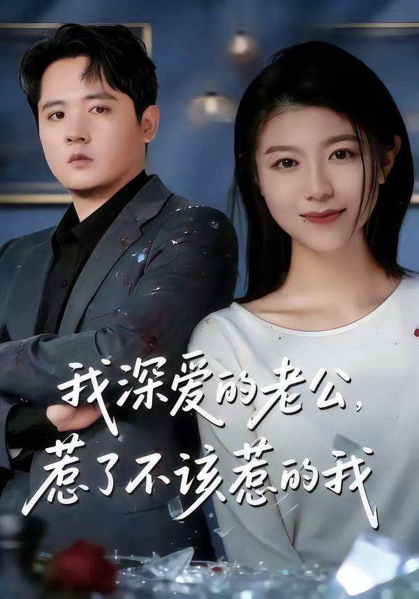 我深爱的老公，惹了不该惹的我海报