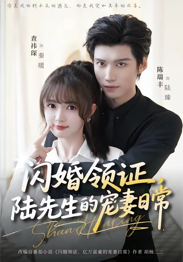闪婚领证，陆先生的宠妻日常海报