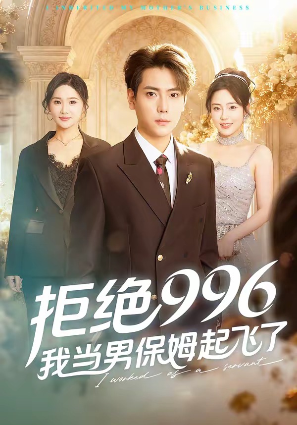 拒绝996，我当男保姆起飞了海报