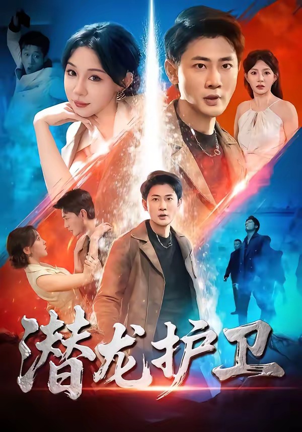 潜龙护卫海报