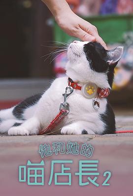他和她的喵店长2粤语海报