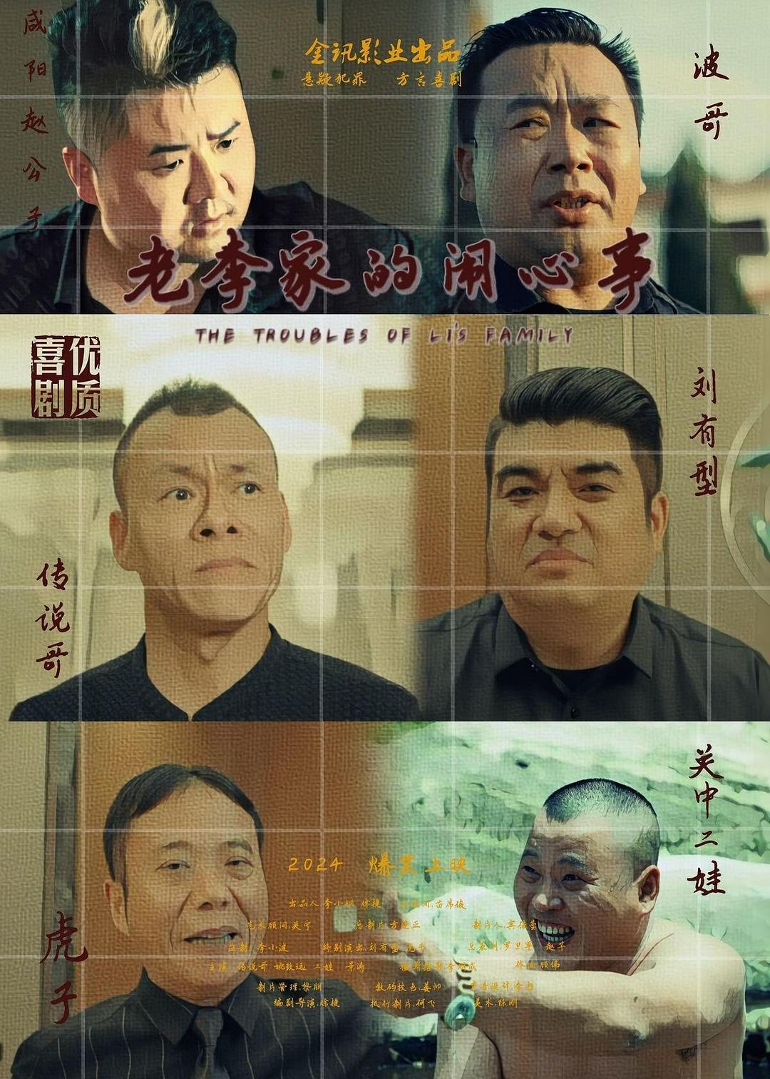 老李家的闹心事海报