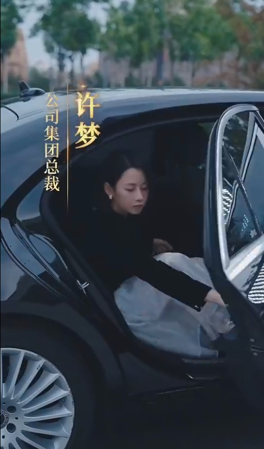 女老板的复仇海报