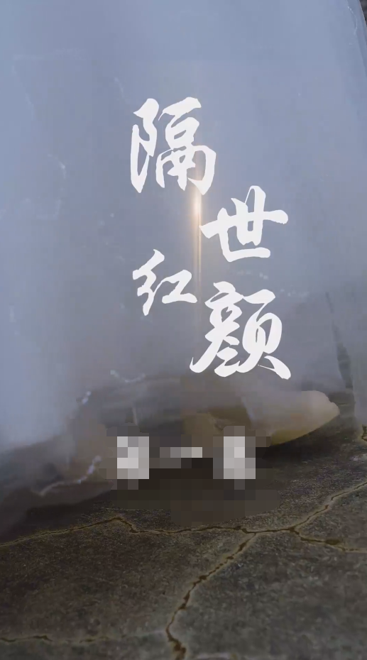 隔世红颜海报