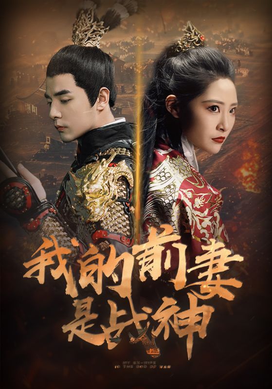 我的前妻是战神海报