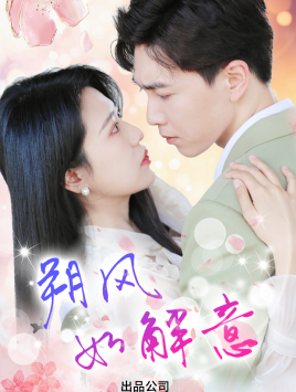 朔风有解意海报