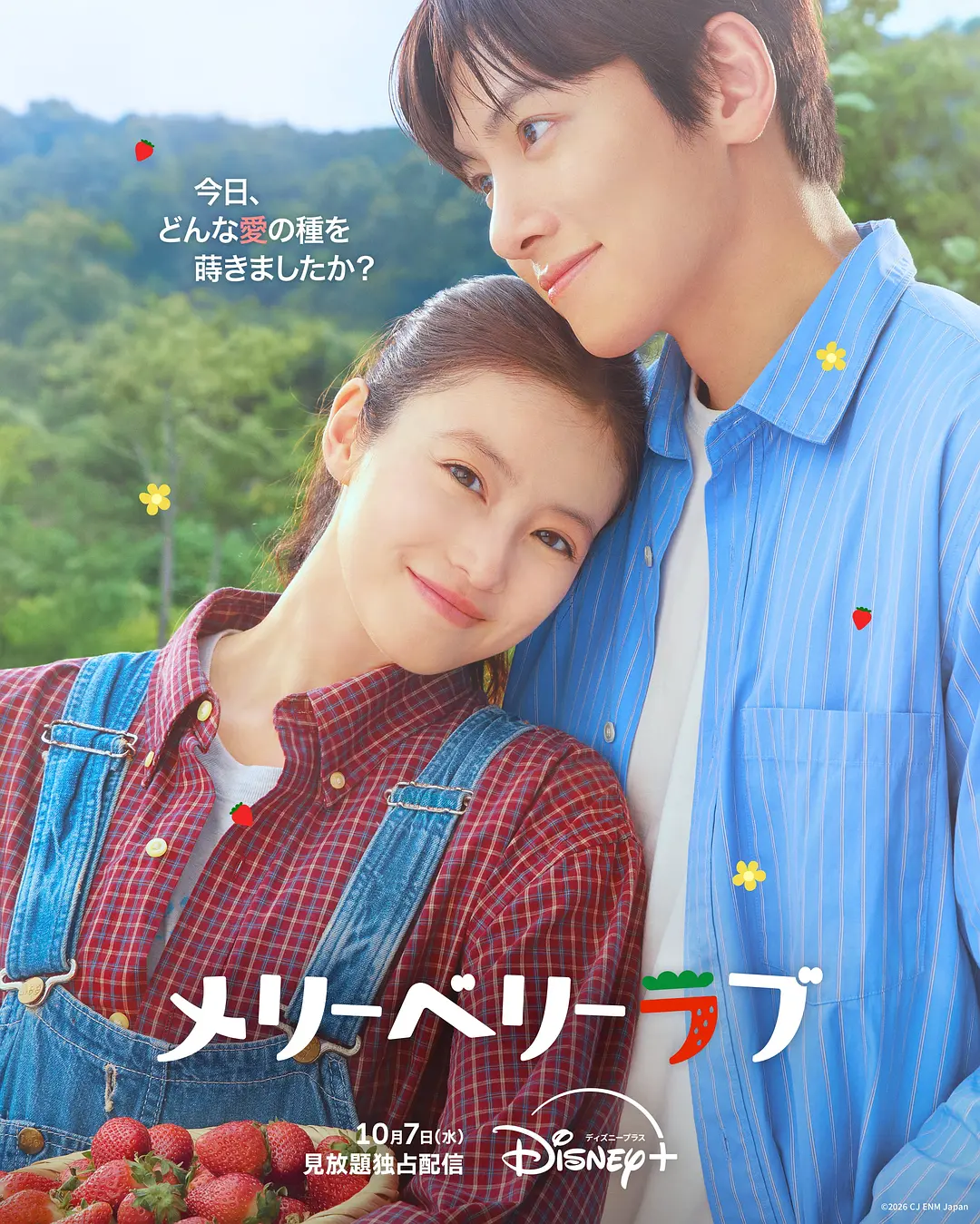 爱上草莓的季节海报
