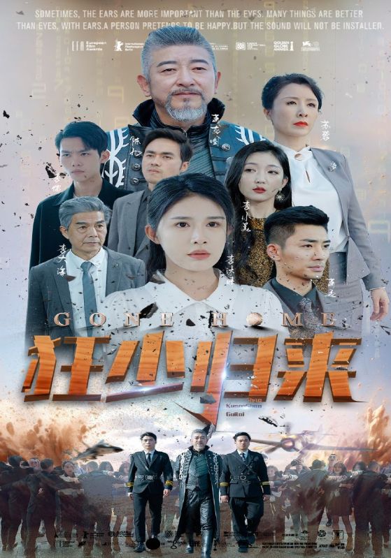 狂少归来海报