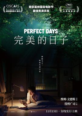 完美的日子海报
