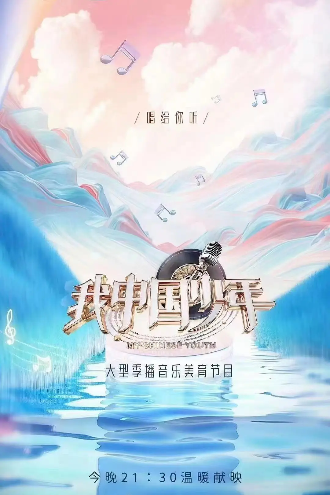 我中国少年第一季海报