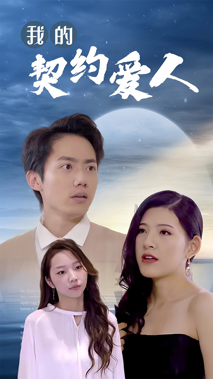 我的契约爱人海报