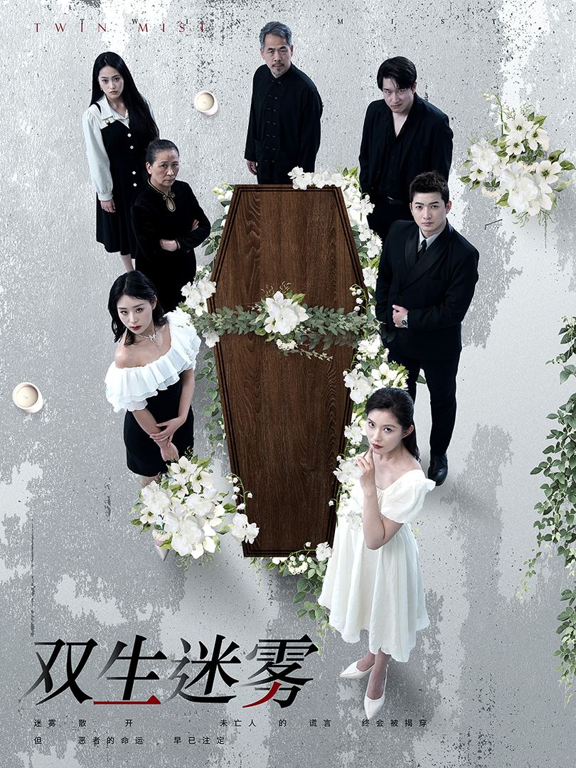 双生迷雾海报