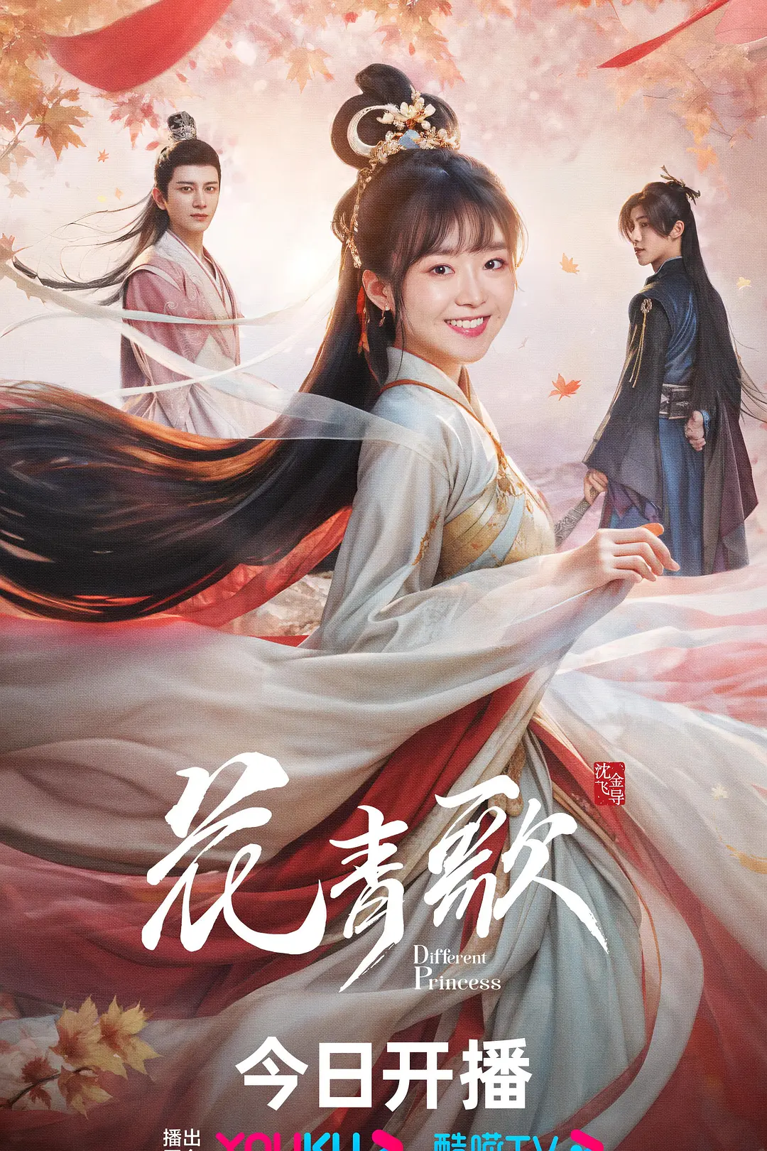 花青歌海报
