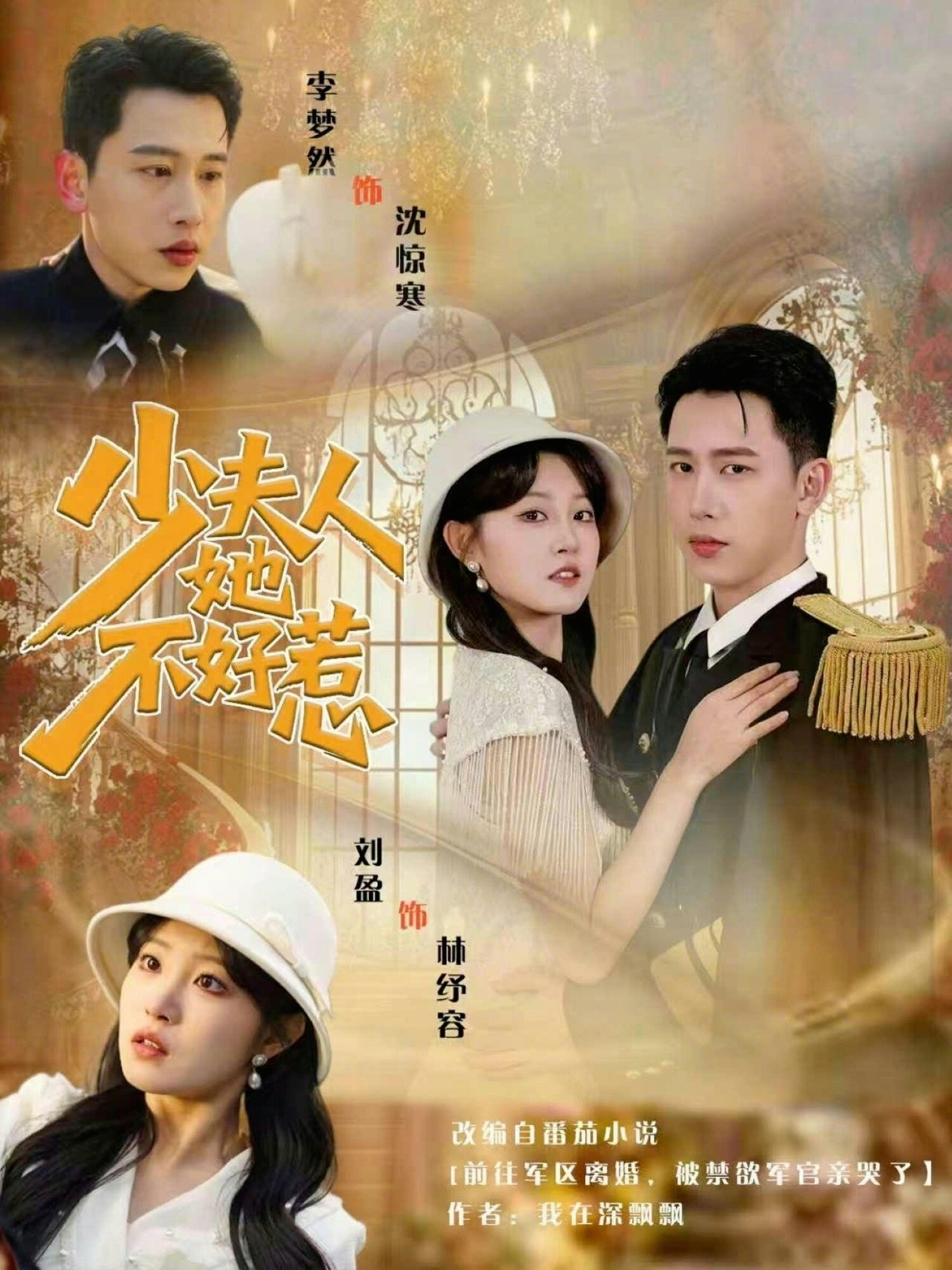 少夫人她不好惹海报