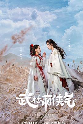 武林有侠气海报