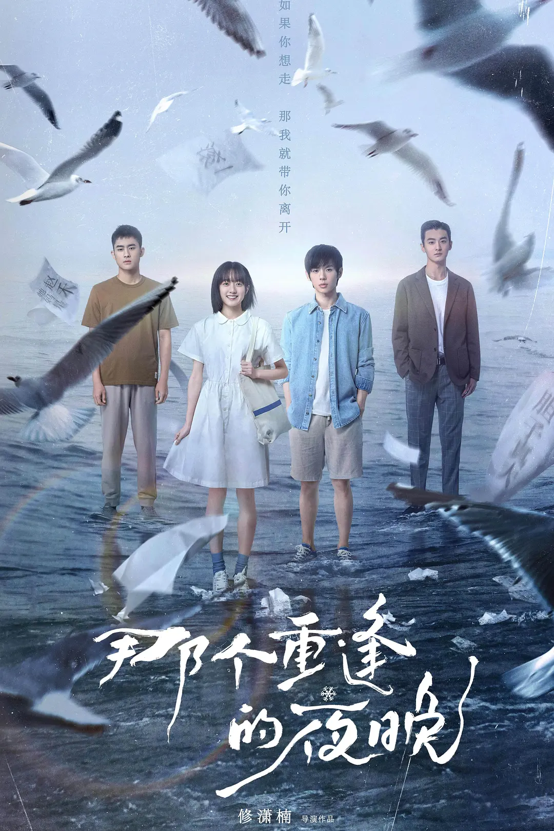 那个重逢的夜晚海报