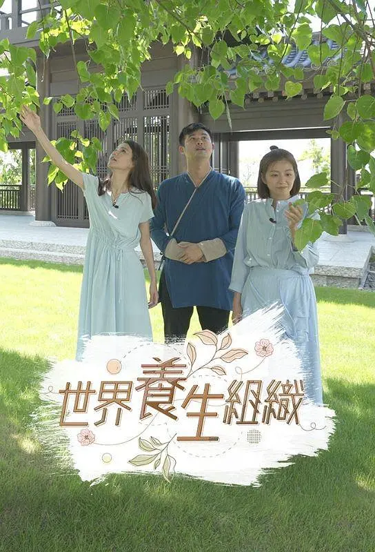 世界养生组织粤语海报