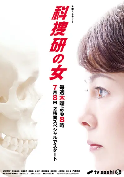 科搜研之女第10季海报