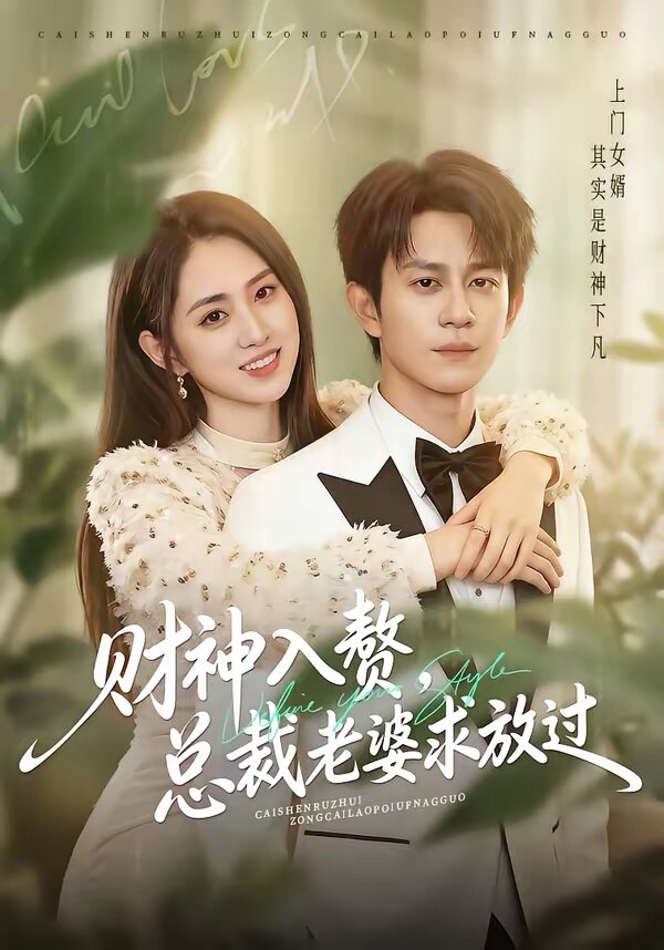 财神入赘，总裁老婆求放过海报