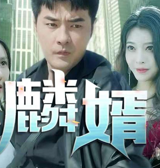 麟婿海报